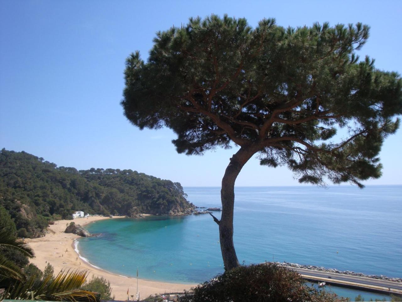 Torre * Lloret de Mar