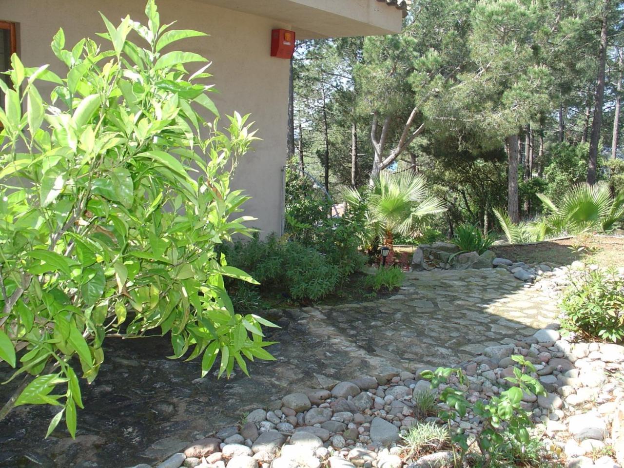 Villa Torre *